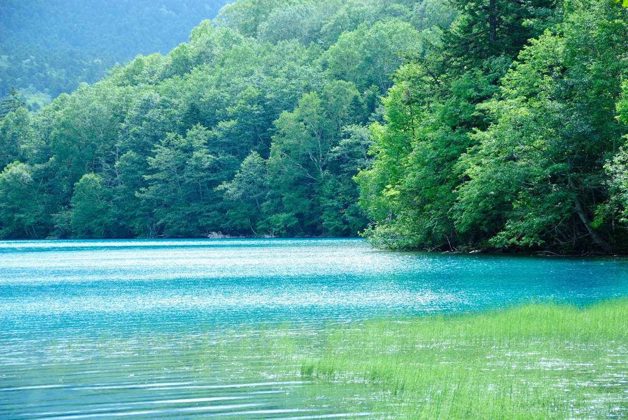 ２００９年夏 北海道へお出かけ 阿寒湖 トマム編 トマム 占冠 北海道 の旅行記 ブログ By Goodspeedさん フォートラベル