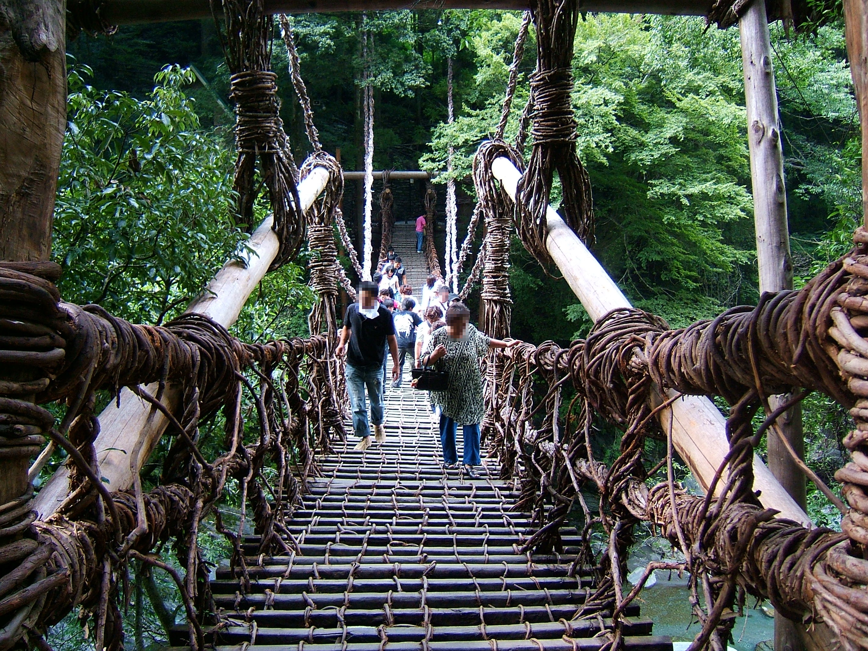 徳島秘境めぐり 祖谷渓 かずら橋 大歩危 徳島県 の旅行記 ブログ By スカgさん フォートラベル