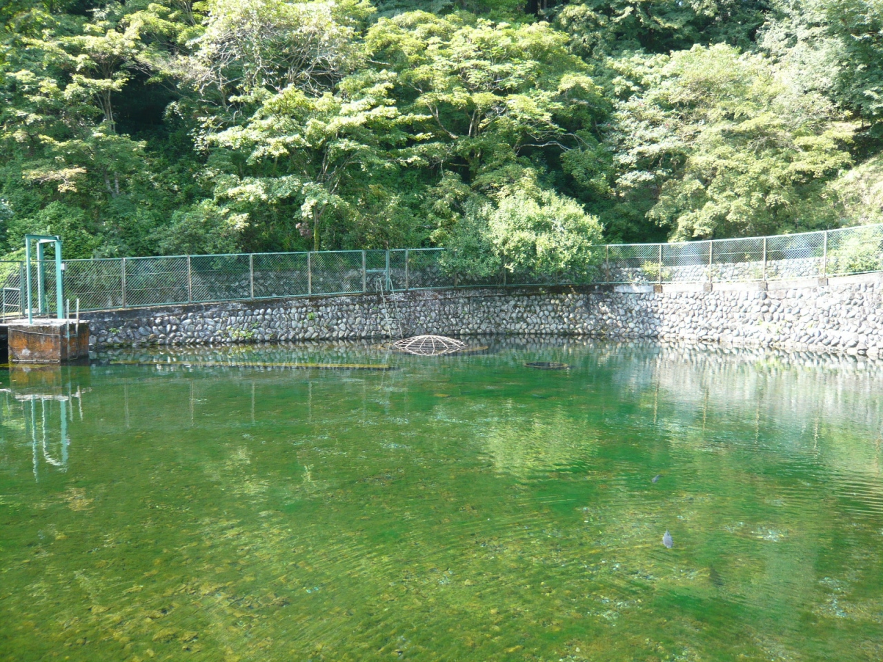 清左衛門地獄池 秦野 松田 足柄 神奈川県 の旅行記 ブログ By Sharkさめさん フォートラベル