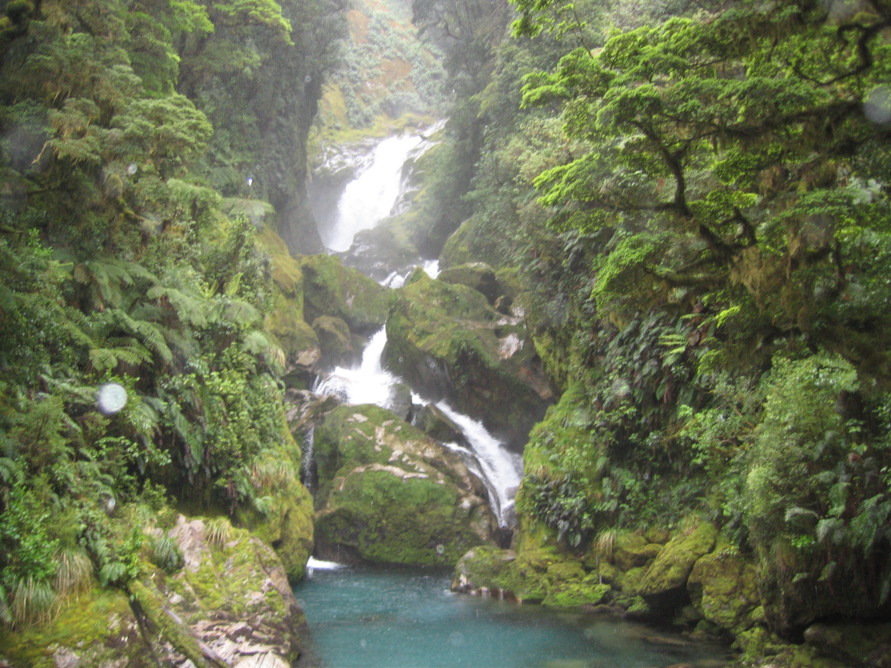 世界一美しい散歩道 In ｎｚ シンガポール編 ニュージーランドの旅行記 ブログ By すぐちゃんさん フォートラベル