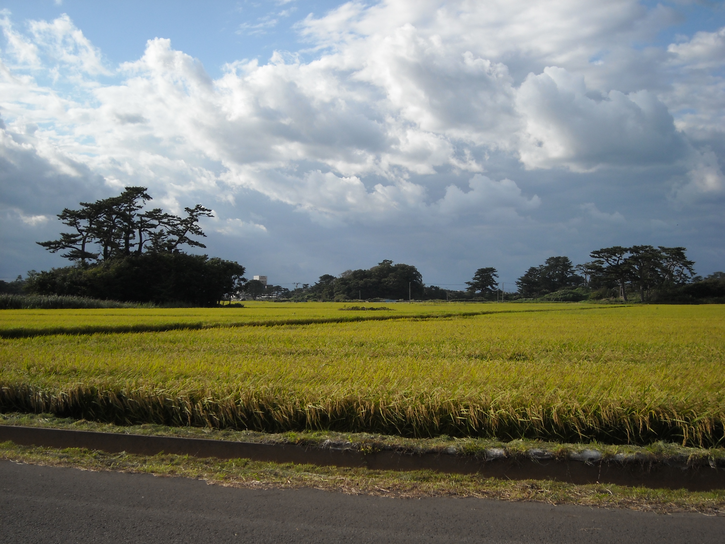 奥の細道 ホッピング 象潟 蚶満珠禅寺 象潟 にかほ 秋田県 の旅行記 ブログ By Anzdrifterさん フォートラベル