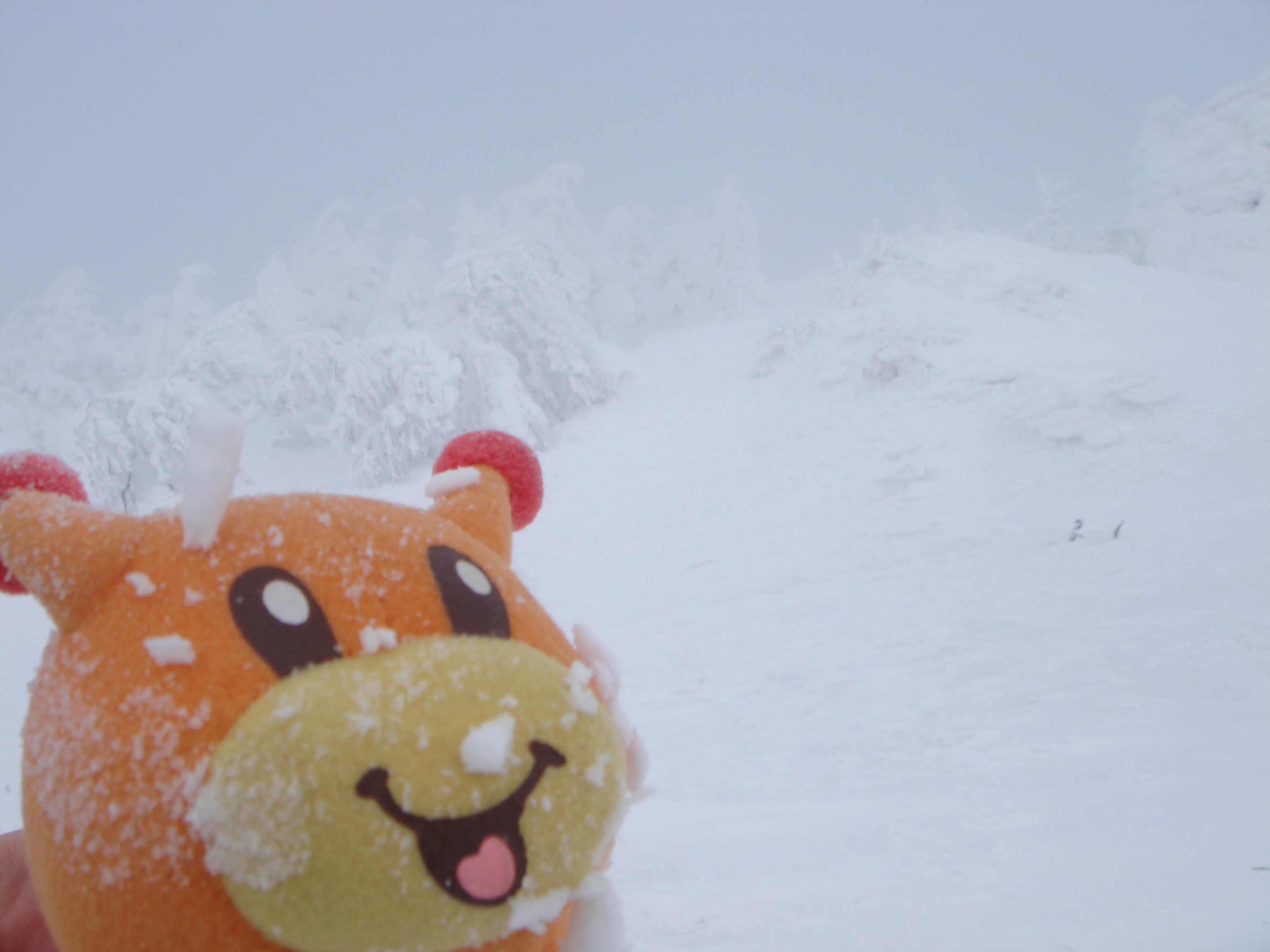 庄内モデルコースを車で巡る 酒田編 酒田 山形県 の旅行記 ブログ By いがちゃんさん フォートラベル