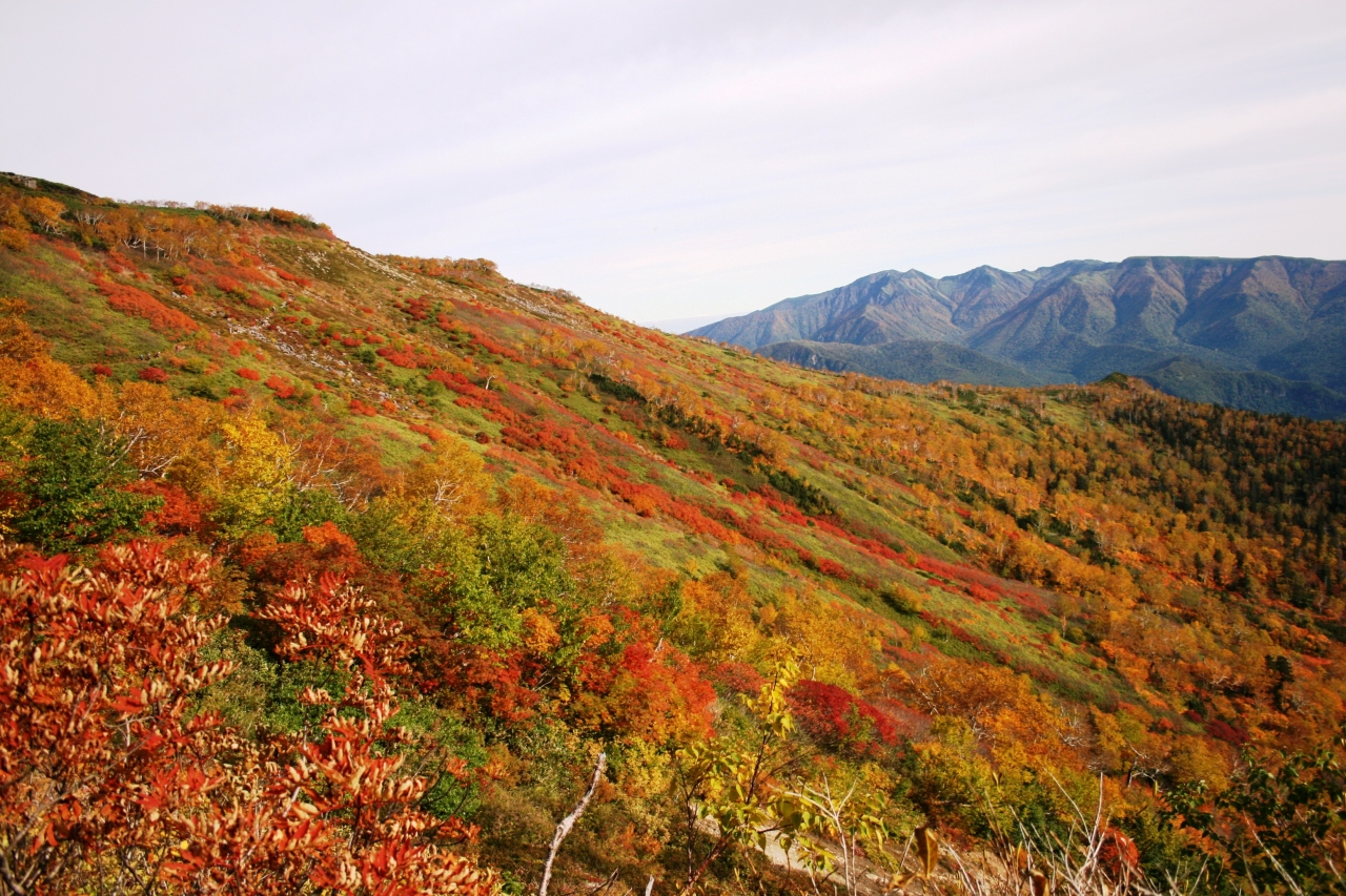 09 9 日本一早い紅葉 大雪山 を歩く 赤岳 白雲岳 北海岳 黒岳縦走登山 前編 層雲峡 北海道 の旅行記 ブログ By ゆんこさん フォートラベル