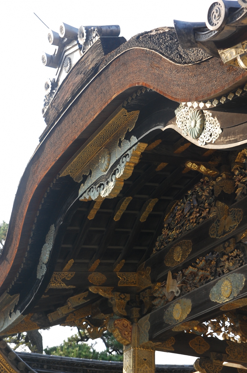 思った以上にすげーな 二条城 二条 烏丸 河原町 京都 の旅行記 ブログ By 円蔵さん フォートラベル 思った以上にすげーな 二条城 二条 烏丸 河原町 京都 の旅行記 ブログ By 円蔵さん フォートラベル