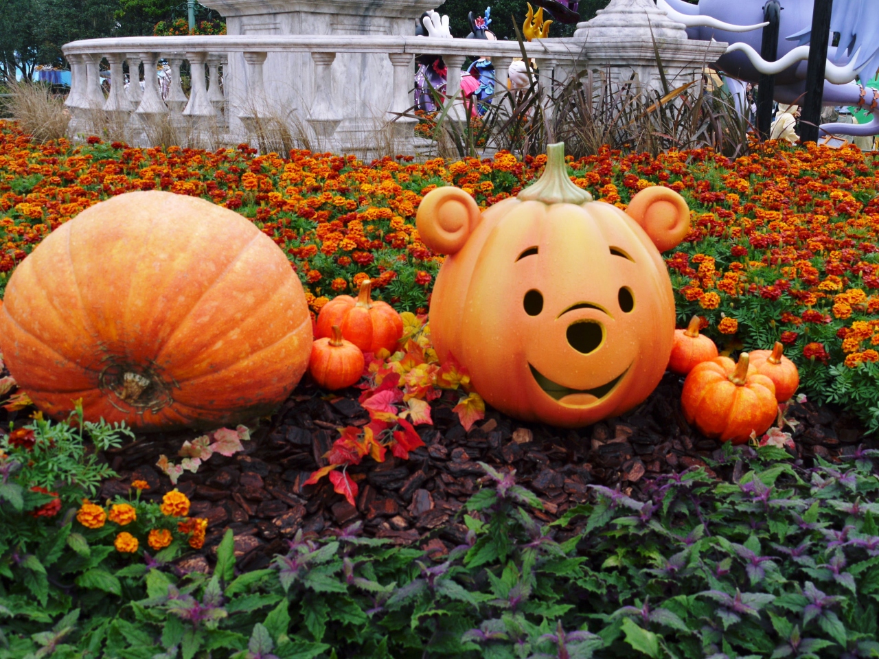 ディズニーハロウィーン ディズニーランドホテル コンシェルジュ