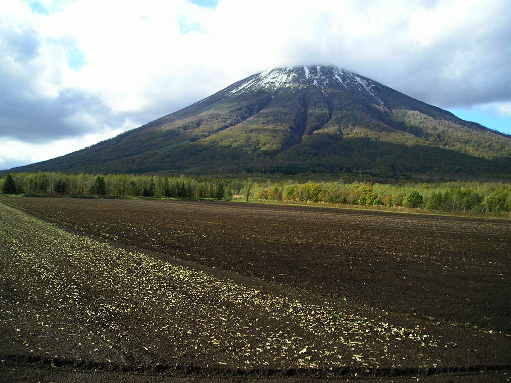 雪と紅葉の羊蹄山 倶知安 くっちゃん 北海道 の旅行記 ブログ By ちびのぱぱさん フォートラベル 雪と紅葉の羊蹄山 倶知安 くっちゃん 北海道 の旅行記 ブログ By ちびのぱぱさん フォートラベル