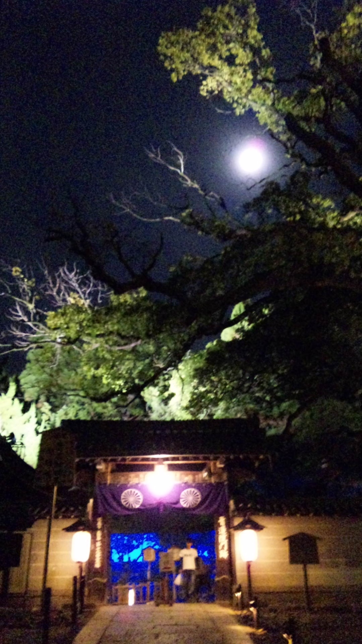 京都 青蓮院 ライトアップ 東山 祇園 北白川 京都 の旅行記 ブログ By つみきさん フォートラベル