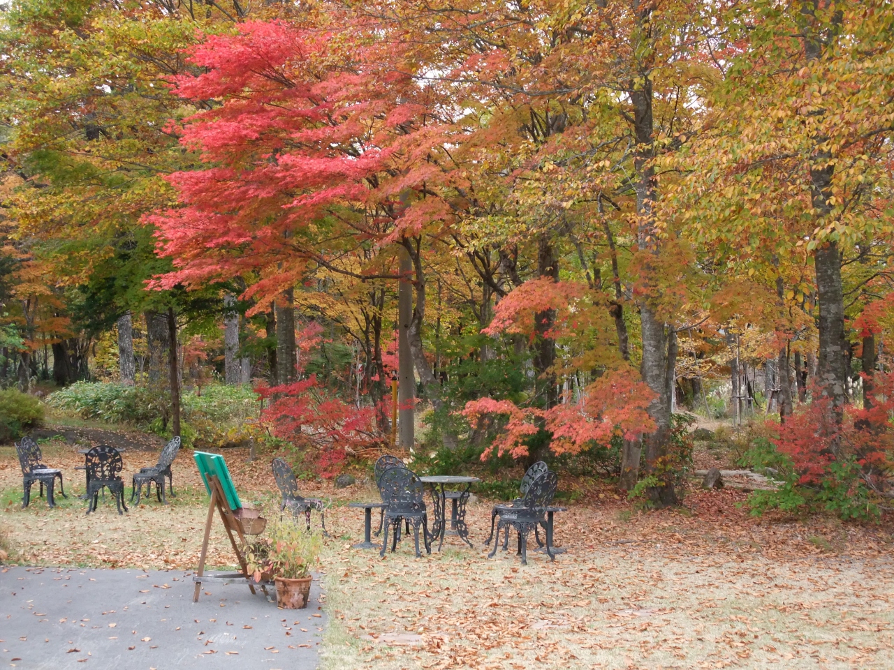 09年10月 ひるがの高原の紅葉 ひるがの高原 鷲ヶ岳 岐阜県 の旅行記 ブログ By Taka46さん フォートラベル 09年10月 ひるがの高原の紅葉 ひるがの高原 鷲ヶ岳 岐阜県 の旅行記 ブログ By Taka46さん フォートラベル