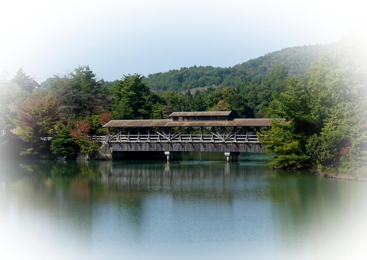 屋根付き橋 ２０ 新池橋 しんいけはし 広島県三原市本郷町 三原 広島県 の旅行記 ブログ By Elliott 7さん フォートラベル