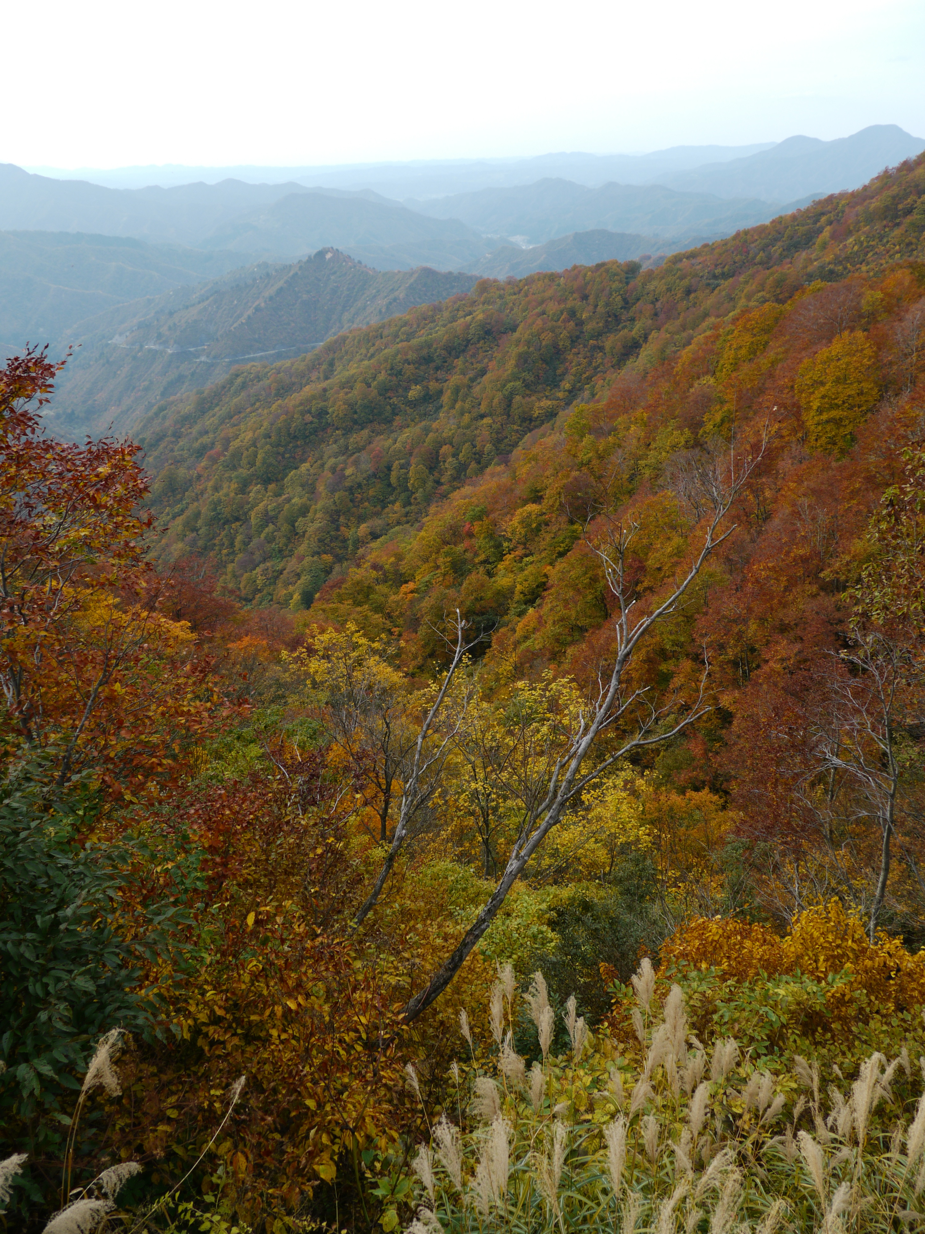 奥只見は紅葉真っ盛り 新潟県の旅行記 ブログ By Yodaさん フォートラベル