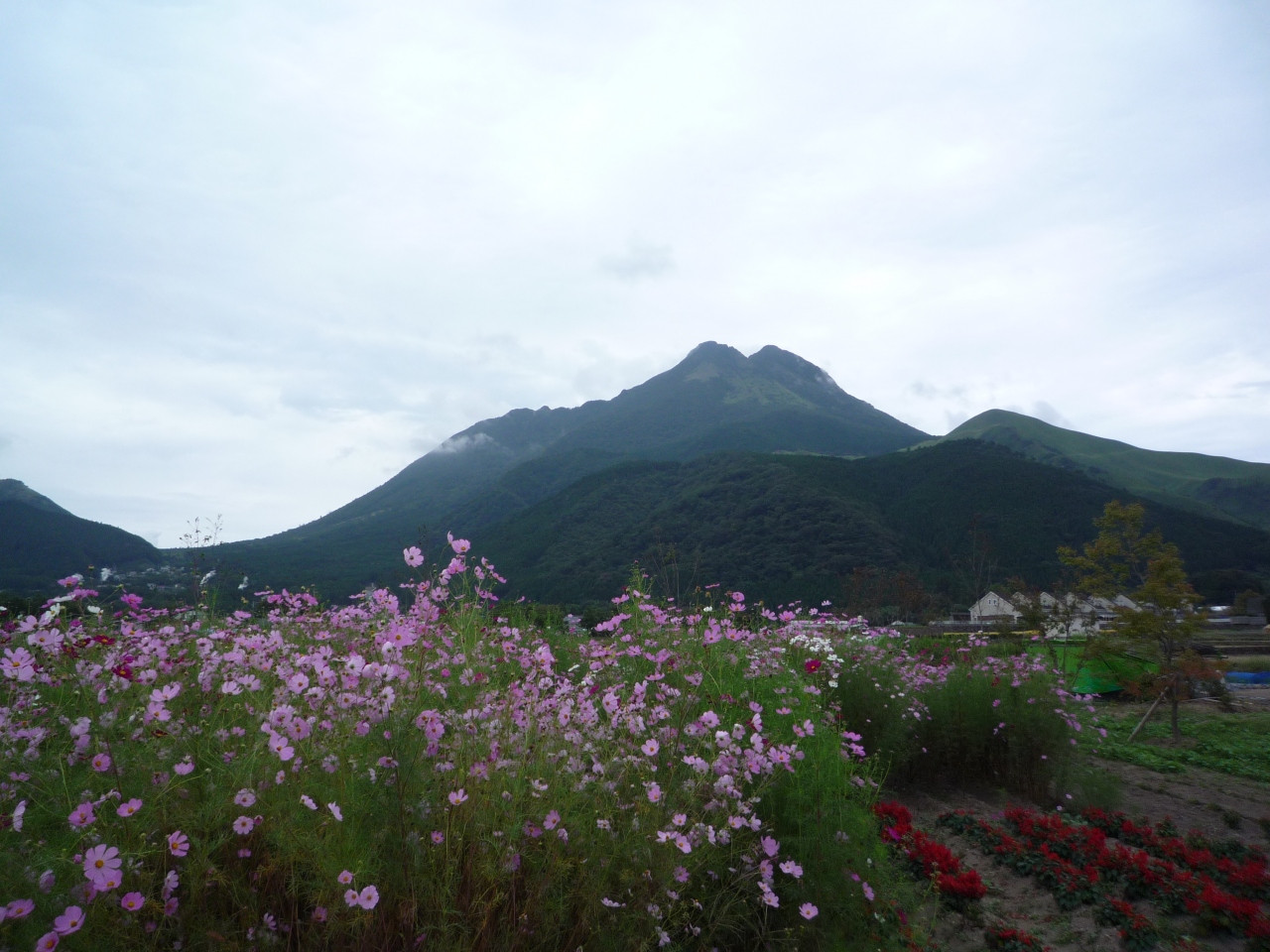 九州版 父留守番で遊んできました母娘二人旅 別府温泉 大分県 の旅行記 ブログ By かなもさん フォートラベル 九州版 父留守番で遊んできました母娘二人旅 別府温泉 大分県 の旅行記 ブログ By かなもさん フォートラベル