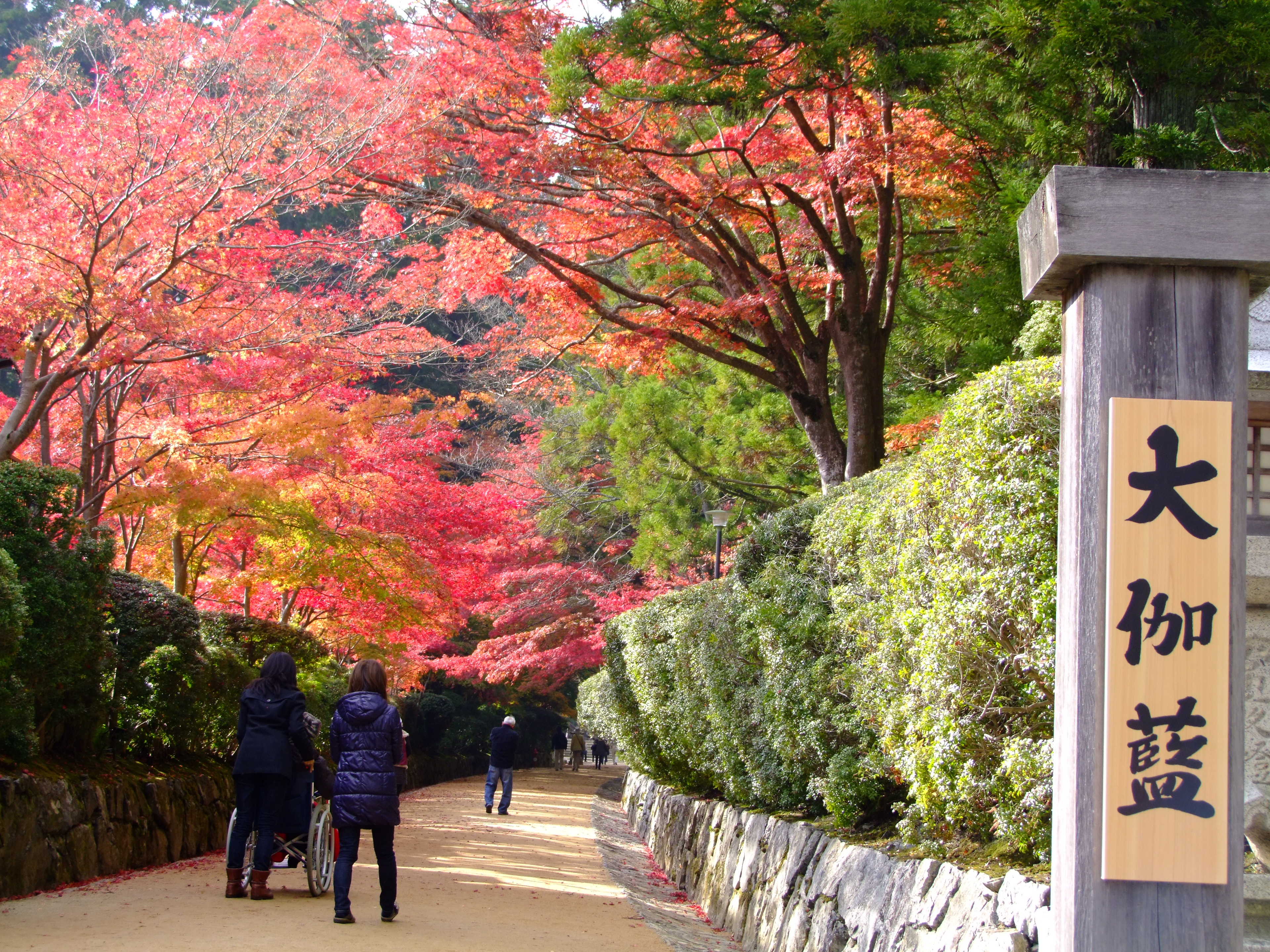 世界遺産 高野山の紅葉 09年11月2日 3日 高野山周辺 和歌山県 の旅行記 ブログ By Sikizakuraさん フォートラベル 世界遺産 高野山の紅葉 09年11月2日 3日 高野山周辺 和歌山県 の旅行記 ブログ By Sikizakuraさん フォートラベル