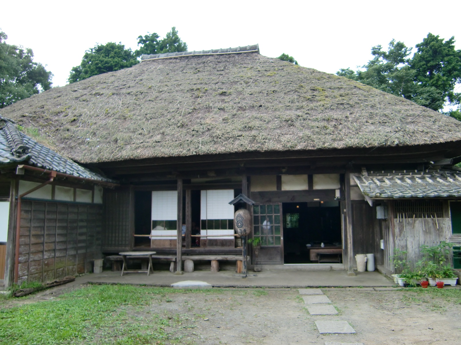 南房総②農家レストラン愚為庵(ぐいあん)と誕生寺、立國寺の猫』勝浦 