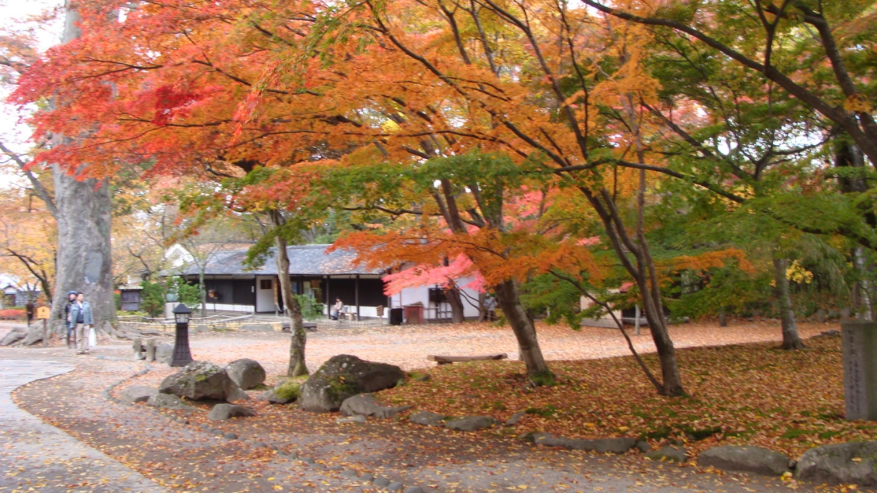 紅葉の懐古園 小諸 御代田 長野県 の旅行記 ブログ By Hn11さん フォートラベル