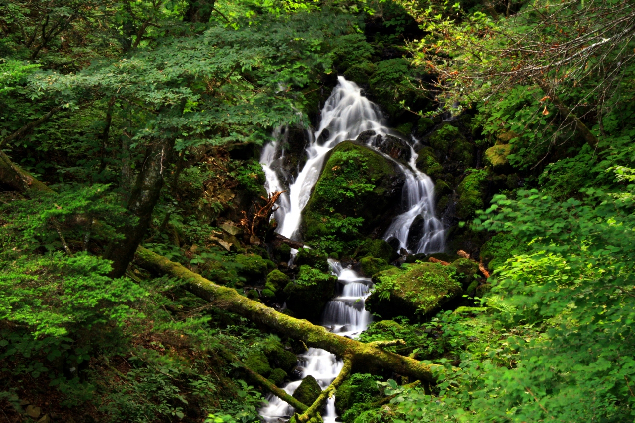 静かな北伊奈ヶ湖と南伊奈ヶ湖 南アルプス市 山梨県 の旅行記 ブログ By ゆっきさん フォートラベル