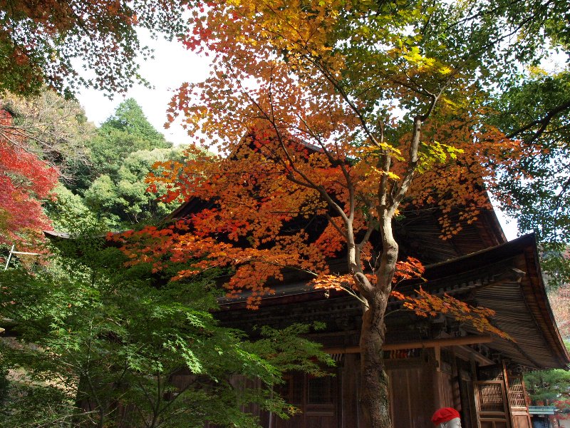 定光寺と紅葉 瀬戸 愛知県 の旅行記 ブログ By おっちーさん フォートラベル