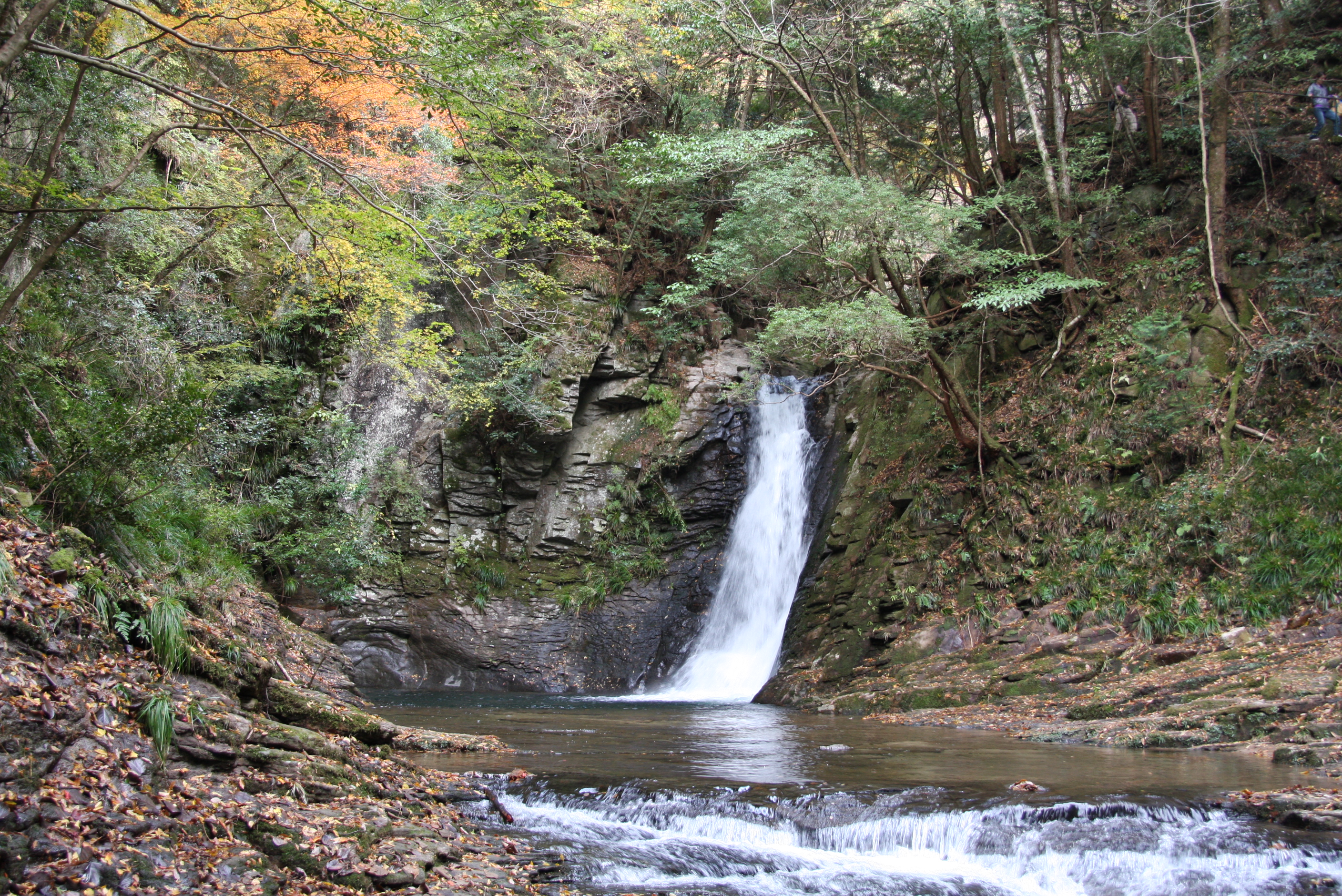 紅葉の赤目四十八滝 赤目 名張 三重県 の旅行記 ブログ By Morino296さん フォートラベル