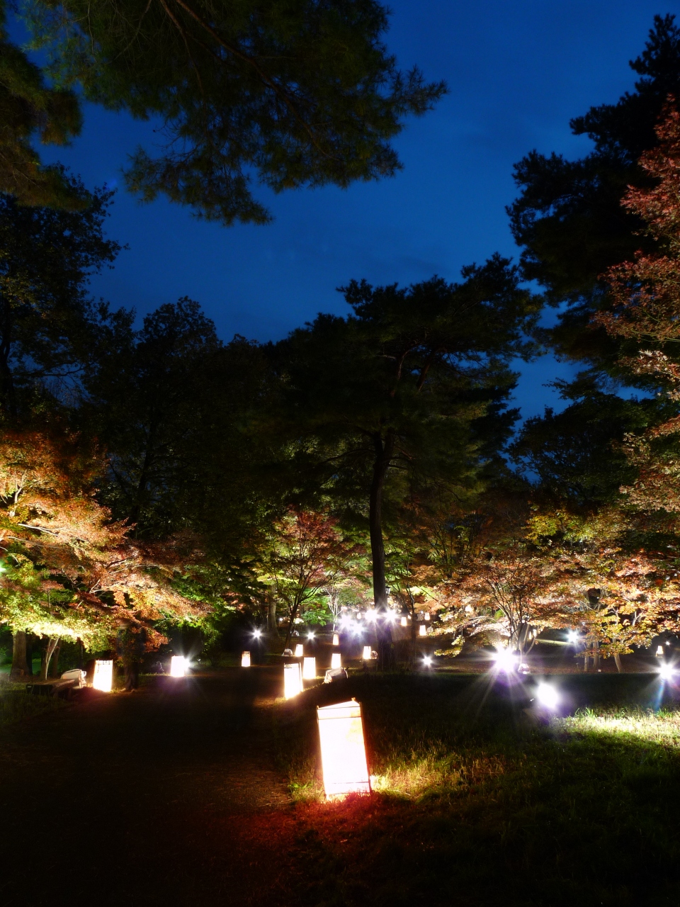 森林公園の 紅葉見ナイト 東松山 埼玉県 の旅行記 ブログ By ももらんさん フォートラベル