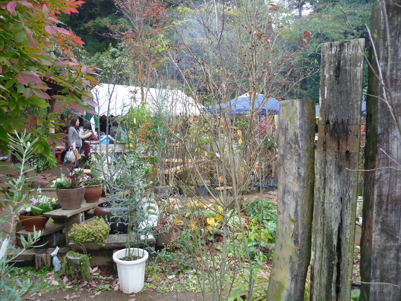 09 印旛村温楽会 鎌ヶ谷 印西 八千代 千葉県 の旅行記 ブログ By 風柚香 ふゆか さん フォートラベル
