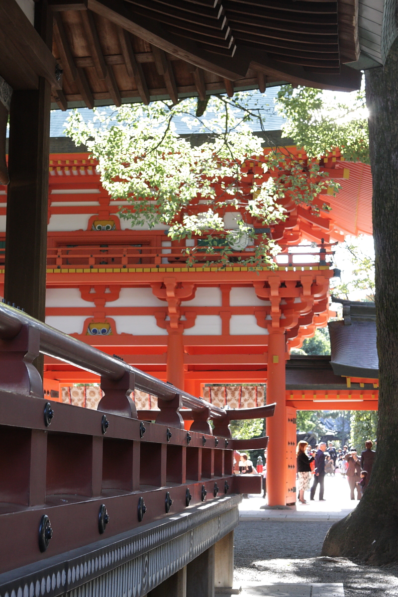 大宮氷川神社で七五三 大宮 埼玉県 の旅行記 ブログ By まもちんさん フォートラベル 大宮氷川神社で七五三 大宮 埼玉県 の旅行記 ブログ By まもちんさん フォートラベル