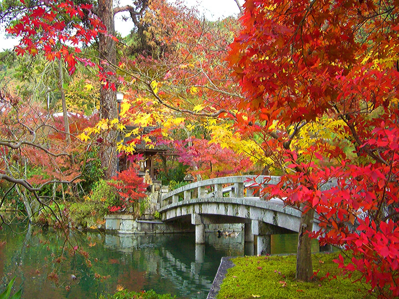 紅葉の古都 京都 洛東 永観堂 禅林寺 京都の旅行記 ブログ By Comevaさん フォートラベル