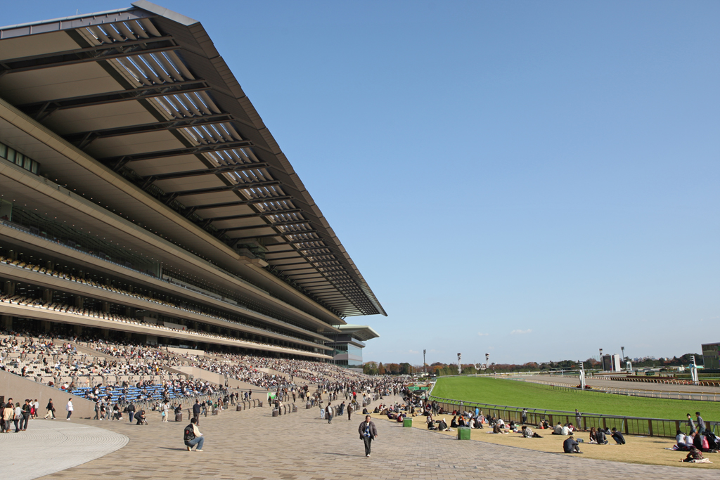 東京競馬場』国立・府中・稲城(東京)の旅行記・ブログ by ランドネット 