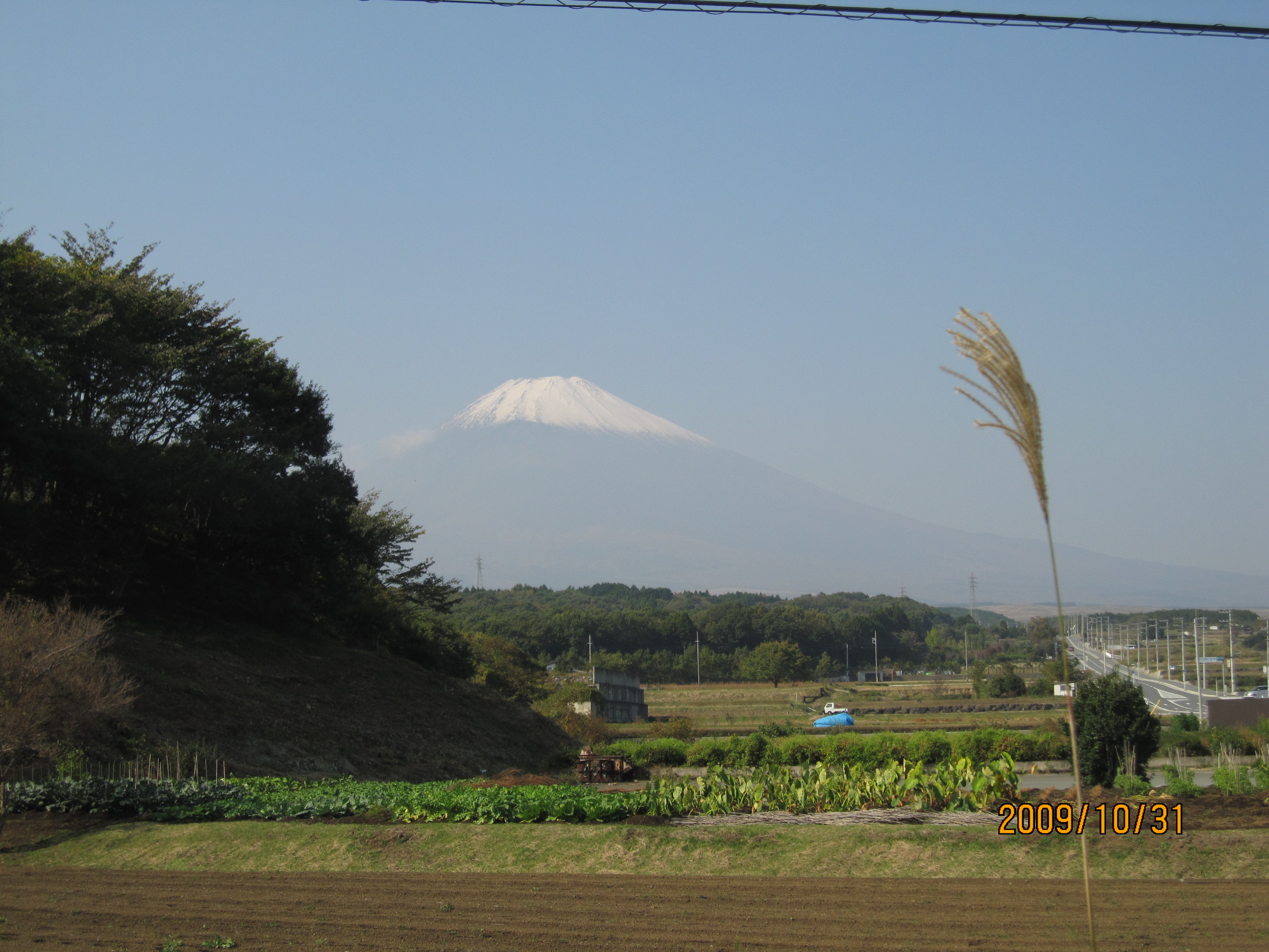 富士サファリパーク 河口湖 サファリ 宿 紅葉まつり 裾野 長泉 静岡県 の旅行記 ブログ By ま00さん フォートラベル