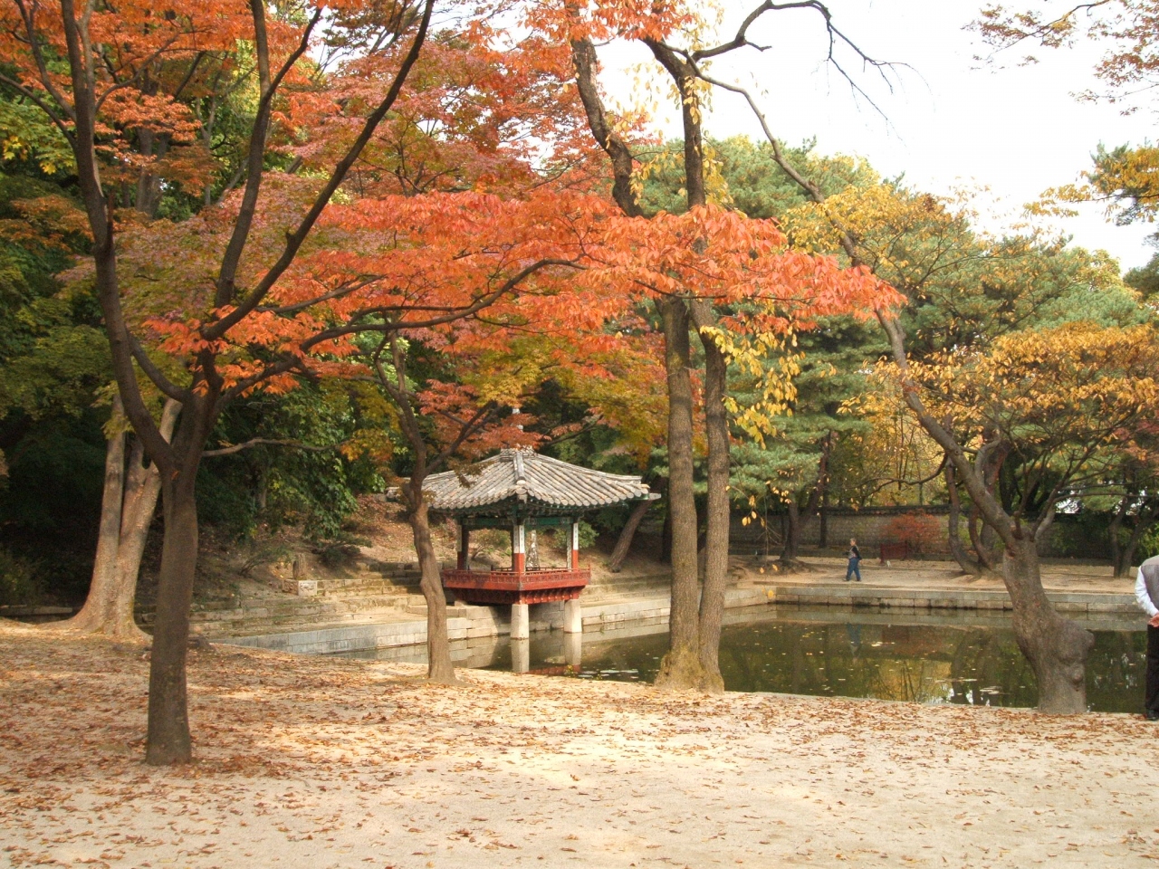 アラフォー主婦 旦那とソウル二人旅 ソウル 韓国 の旅行記 ブログ By Nikoさん フォートラベル