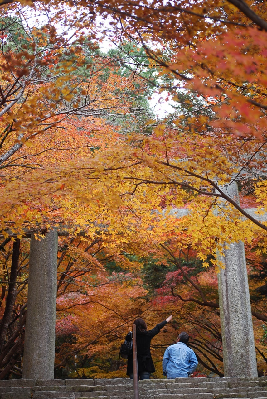 同窓会を兼ねた九州の旅 竈門神社の紅葉を愛でる 太宰府 福岡県 の旅行記 ブログ By Tsunetaさん フォートラベル