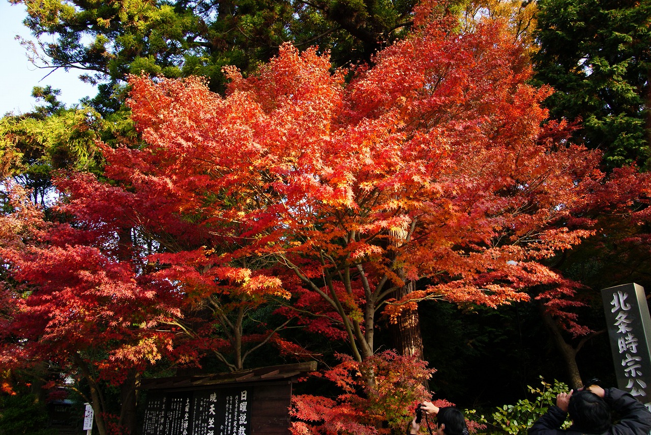 鎌倉 紅葉 2009年サイクリング 鎌倉 神奈川県 の旅行記 ブログ By Yuki Cocktail12さん フォートラベル 鎌倉 紅葉 2009年サイクリング 鎌倉 神奈川県 の旅行記 ブログ By Yuki Cocktail12さん フォートラベル