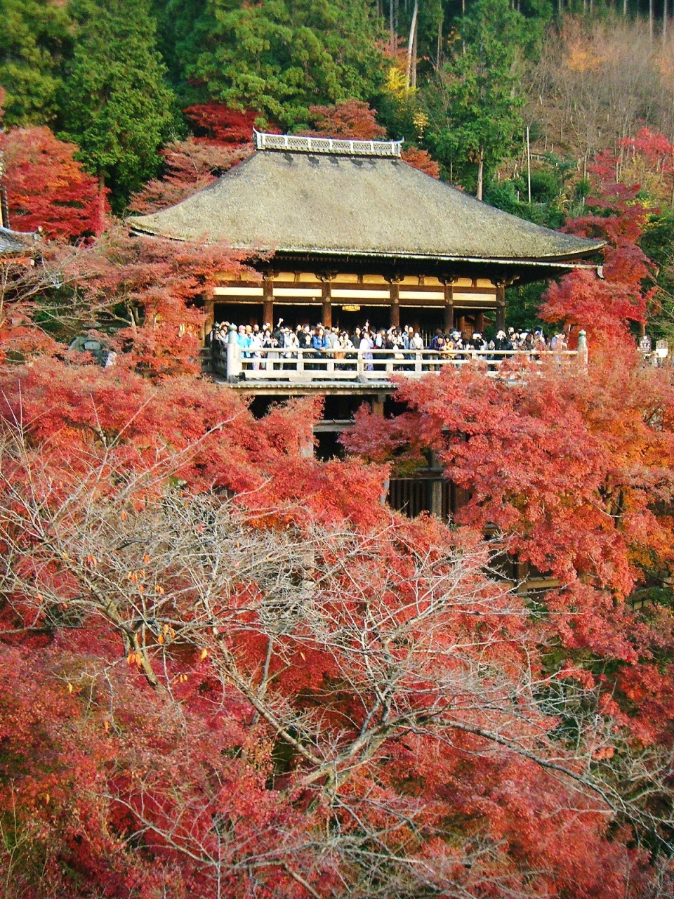 ２００９京都の紅葉 清水寺 高台寺 円徳院編 東山 祇園 北白川 京都 の旅行記 ブログ By りかさん フォートラベル