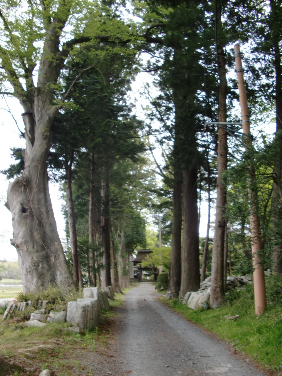 慈しみ深き仏教文化と御影石産地とに拠り栄華賜れし地 常陸國稲田 笠間 茨城県 の旅行記 ブログ By 横浜臨海公園さん フォートラベル 慈しみ深き仏教文化と御影石産地とに拠り栄華賜れし地 常陸國稲田 笠間 茨城県 の旅行記 ブログ By 横浜臨海公園さん フォートラベル