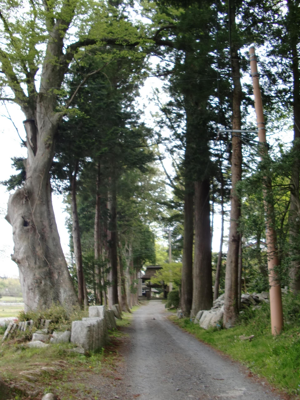 慈しみ深き仏教文化と御影石産地とに拠り栄華賜れし地 常陸國稲田 笠間 茨城県 の旅行記 ブログ By 横浜臨海公園さん フォートラベル