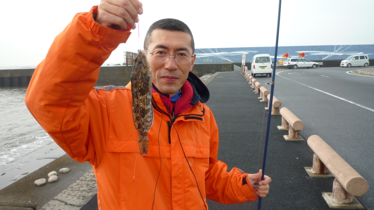 漁港 釣果 飯岡