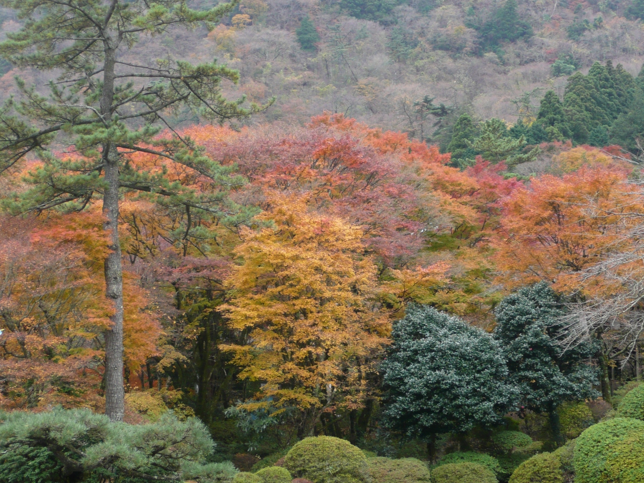 09秋箱根の紅葉巡り 目次 神奈川県の旅行記 ブログ By Wt信さん フォートラベル