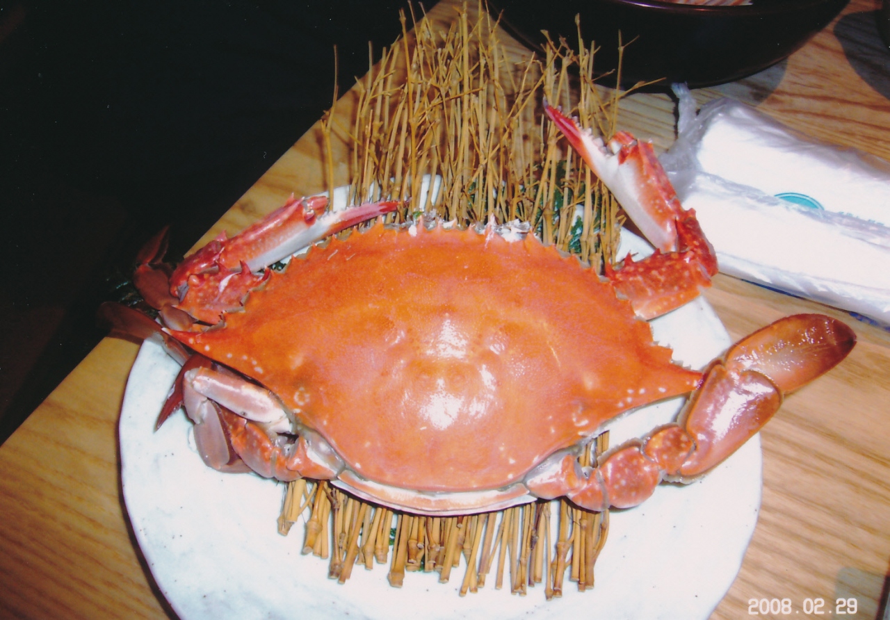 蟹の御殿で蟹御殿 08年2月 蟹御殿 太良 鹿島 佐賀県 の旅行記 ブログ By コイチさん フォートラベル