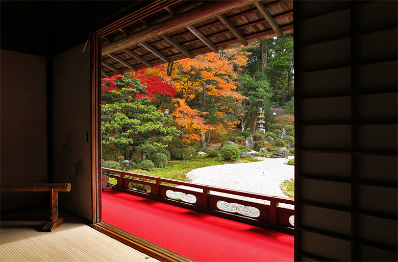 京都の紅葉 曼殊院門跡 まんしゅいんもんせき の紅葉 錦秋の京 彩り纏う寺社を巡りて 5 京都市 洛北 下鴨 宝ヶ池 平安神宮 京都 の旅行記 ブログ By Kuropisoさん フォートラベル 京都の紅葉 曼殊院門跡 まんしゅいんもんせき の紅葉 錦秋の京 彩り纏う寺社を巡りて 5 京都市 洛北 下鴨 宝ヶ池 平安神宮 京都 の旅行記 ブログ By Kuropisoさん フォートラベル