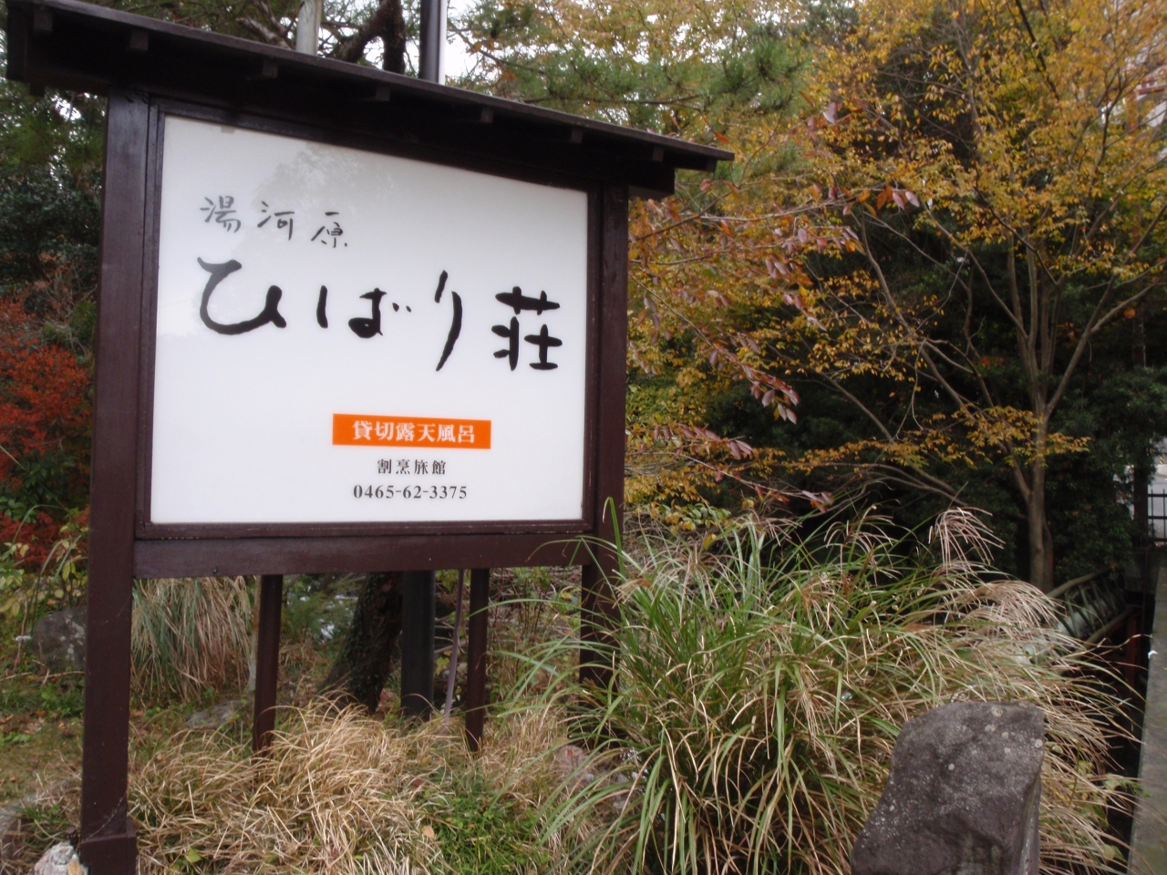 湯河原みかん狩り 湯河原温泉 神奈川県 の旅行記 ブログ By とみさん フォートラベル