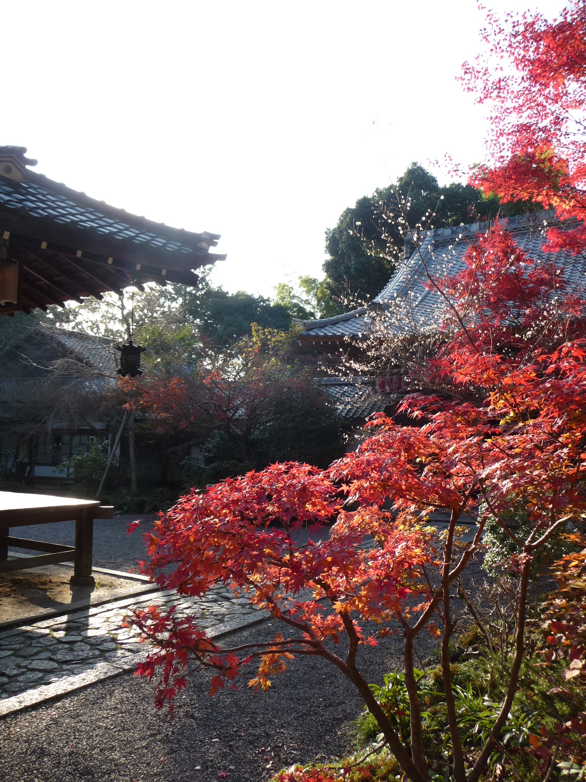 赤山禅院 京都市左京区 京都で紅葉三昧の一日 その１ 下鴨 宝ヶ池 平安神宮 京都 の旅行記 ブログ By Joecoolさん フォートラベル