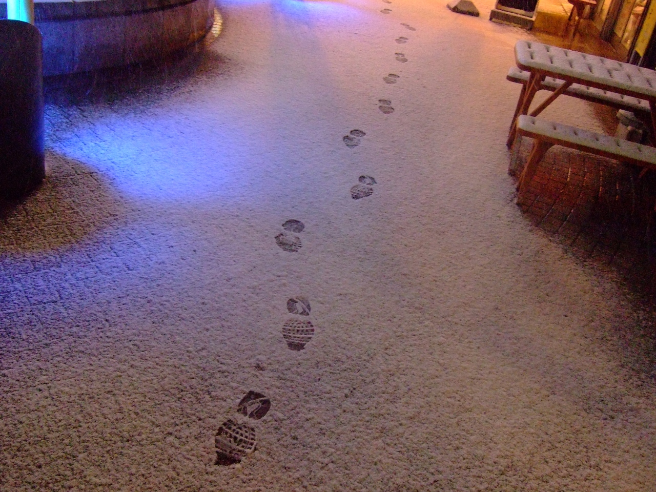 雪のシャワーのはじまり 盛岡 青森 winter journey 白い足跡は北へつづく 4 青森市内 青森県 の旅行記 ブログ By がりさん フォートラベル 雪のシャワーのはじまり 盛岡 青森 winter journey 白い足跡は北へつづく 4 青森市内 青森県 の旅行記 ブログ By がりさん フォートラベル