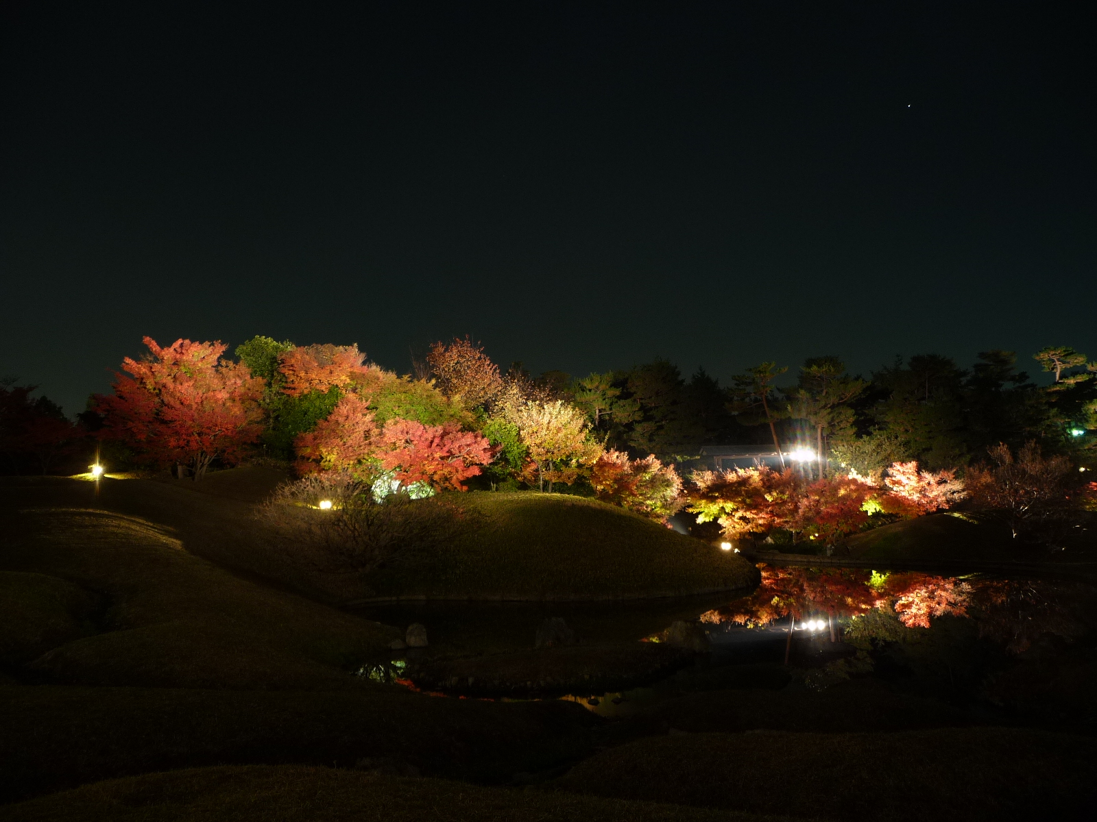 梅小路公園 朱雀の庭 の紅葉ライトアップ 京都で紅葉三昧の一日 その４ 京都駅周辺 京都 の旅行記 ブログ By Joecoolさん フォートラベル