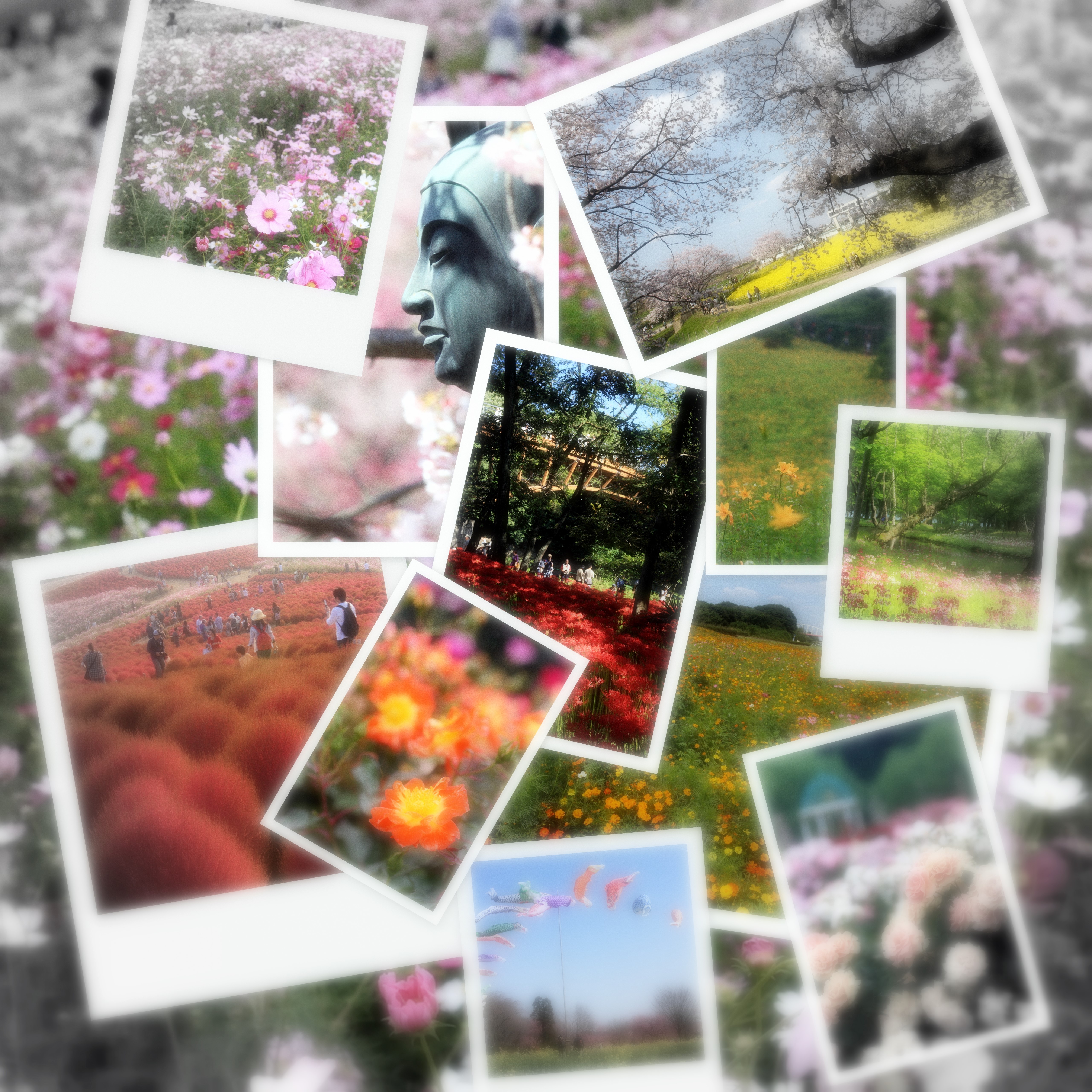花の名所 ザ ベストテン In 関東 埼玉近郊 09 埼玉県の旅行記 ブログ By まもちんさん フォートラベル 花の名所 ザ ベストテン In 関東 埼玉近郊 09 埼玉県の旅行記 ブログ By まもちんさん フォートラベル