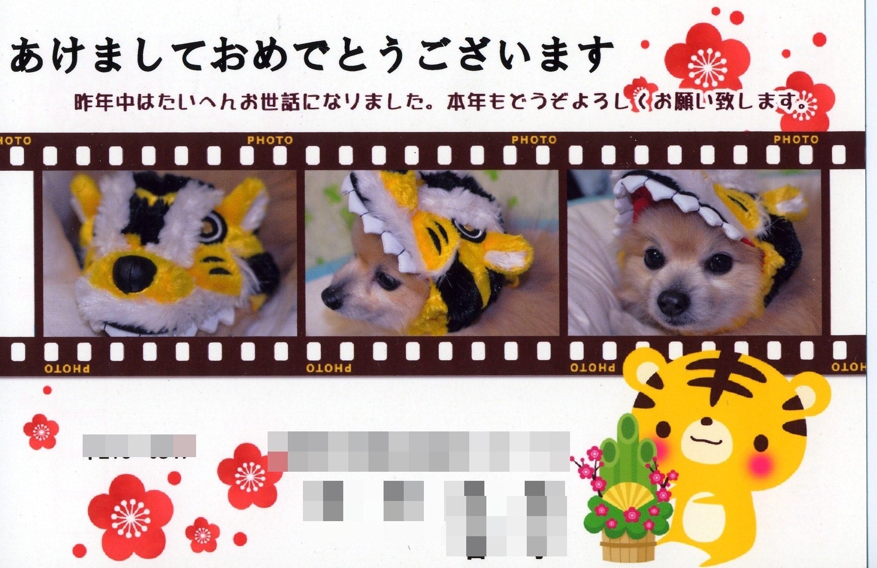 クーちゃんのコスプレ年賀状コレクション 川崎 神奈川県 の旅行記 ブログ By パピーさん フォートラベル クーちゃんのコスプレ年賀状コレクション 川崎 神奈川県 の旅行記 ブログ By パピーさん フォートラベル
