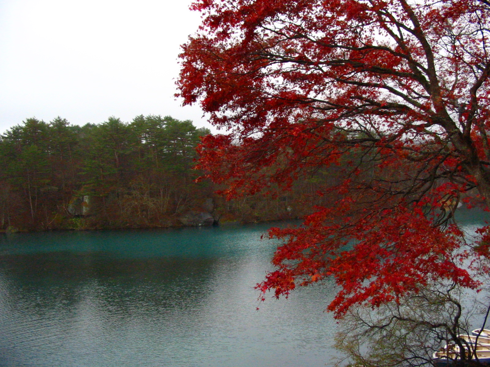 猪苗代湖から会津若松へ 紅葉を見る 戊辰を感じる 旅 1 猪苗代 福島県 の旅行記 ブログ By 五黄の寅さん フォートラベル