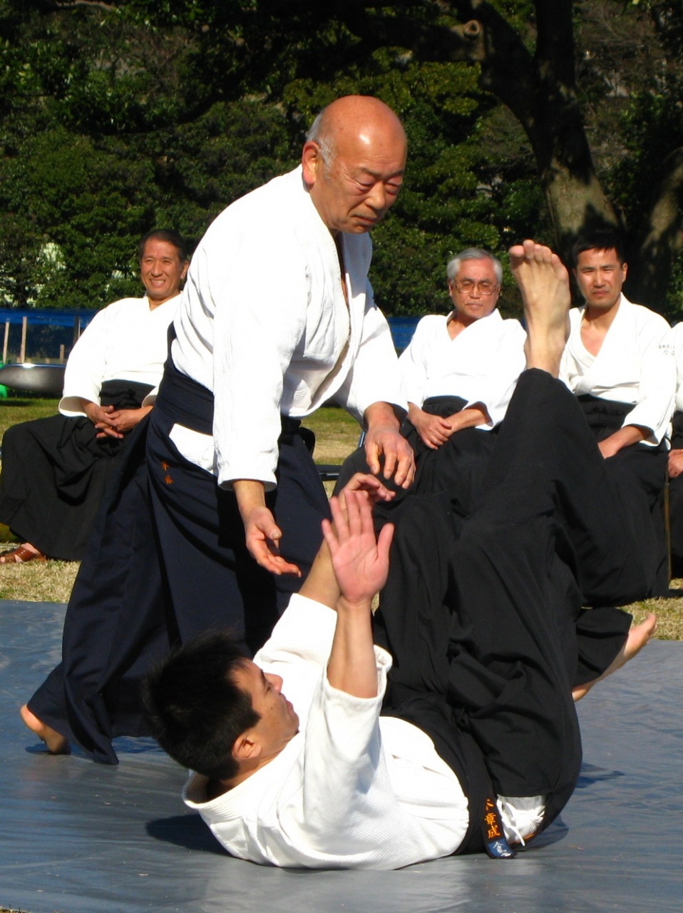 合気道は総合武術 浜離宮庭園で演武 小よく大を制するワザ 汐留 東京 の旅行記 ブログ By マキタン２さん フォートラベル