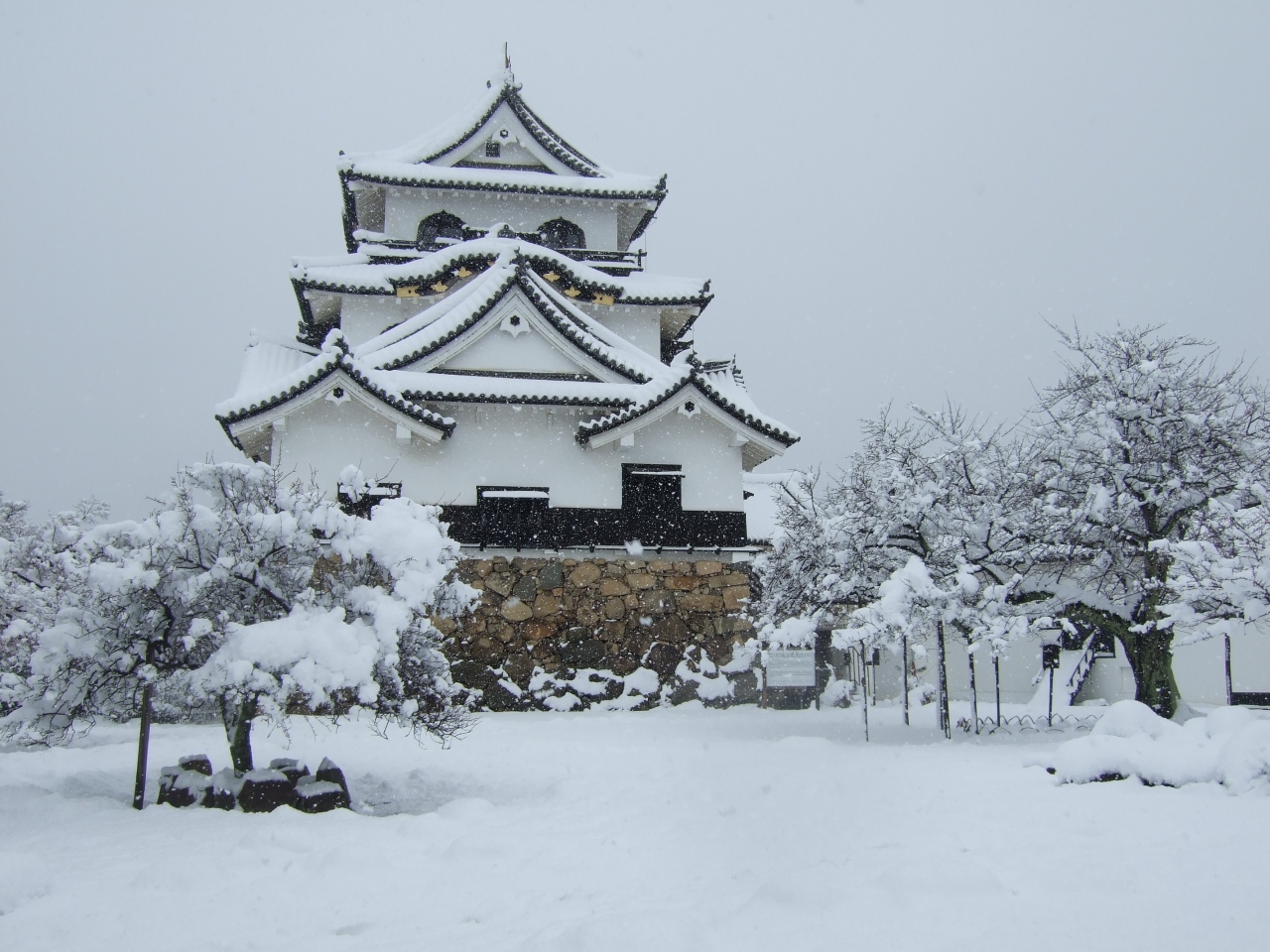 雪の彦根城と玄宮園 彦根 滋賀県 の旅行記 ブログ By ふうせんさん フォートラベル