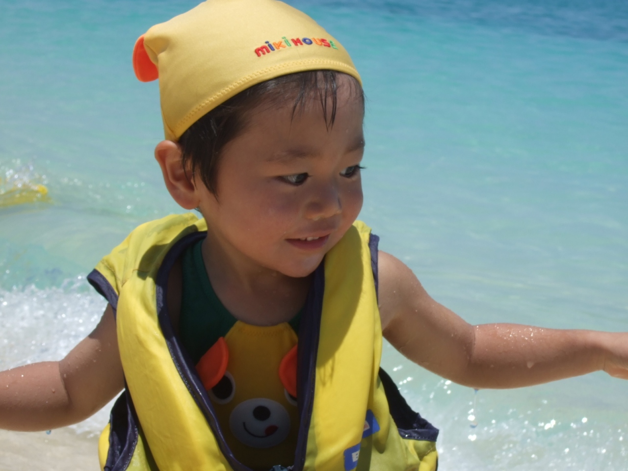 3歳の息子とグレートバリアリーフ キュランダ ケアンズ オーストラリア の旅行記 ブログ By もりみんさん フォートラベル 3歳の息子とグレートバリアリーフ キュランダ ケアンズ オーストラリア の旅行記 ブログ By もりみんさん フォートラベル