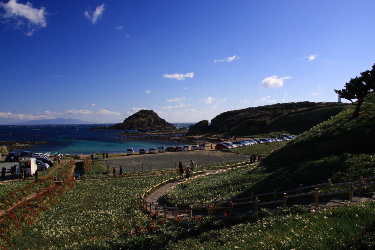 爪木崎の水仙まつり 下田 静岡県 の旅行記 ブログ By ゆっきさん フォートラベル