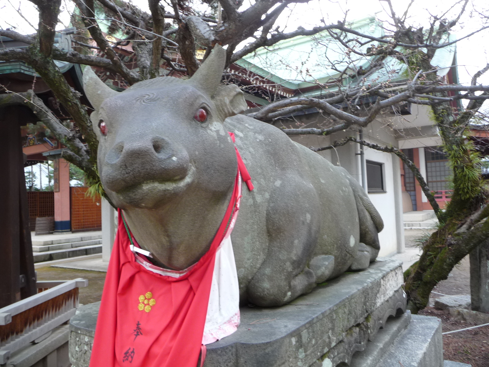 梅がちらほら 勧学祈願のお守りをいただきに北野天満宮へ 今出川 北大路 北野 京都 の旅行記 ブログ By Joecoolさん フォートラベル