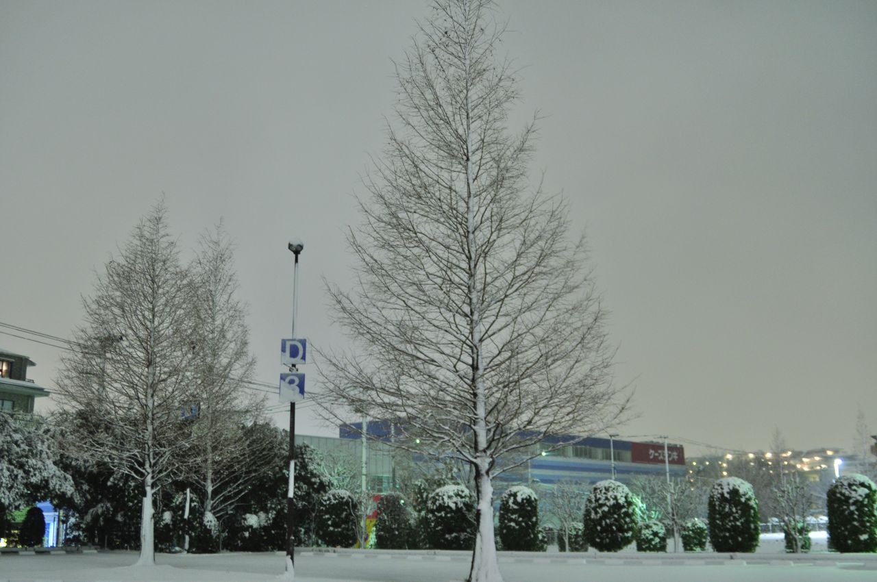 雪景色の東京 2月１日 東京の旅行記 ブログ By Cervo Montagnaさん フォートラベル